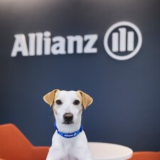 ALLIANZ_PIPPER_3124.jpg