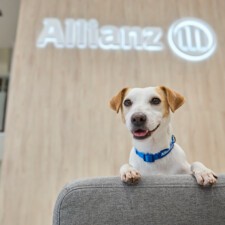 ALLIANZ_PIPPER_1335.jpg