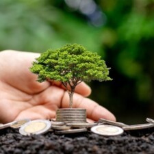 fondos sostenibilidad.jpg