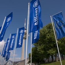 Allianz flags.jpg