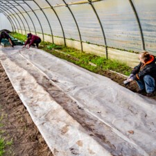 Restos du Cœur - Jardins de Blanquefort - ©Restos du Cœur 2023