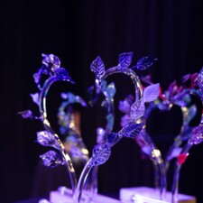 [Album photos] Ostwald - Prix de l'Engagement Associatif 2025