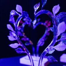 Sausheim - Trophées des Prix de l'Engagement Associatif 2025