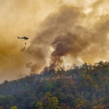 Allianz intensifica su protocolo ante incendios.jpg