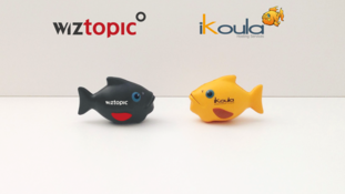 Ikoula et Wiztopic annoncent leur partenariat technologique