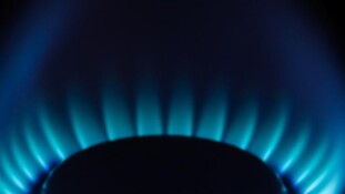Facture de gaz et d'électricité : comment économiser 239 euros par an