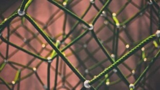 Wiztrust : une solution pour lutter contre les fake news financières - LeBigData.fr