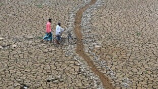 Réchauffement climatique : «Quand les entreprises agiront-elles enfin pour l'environnement ?»