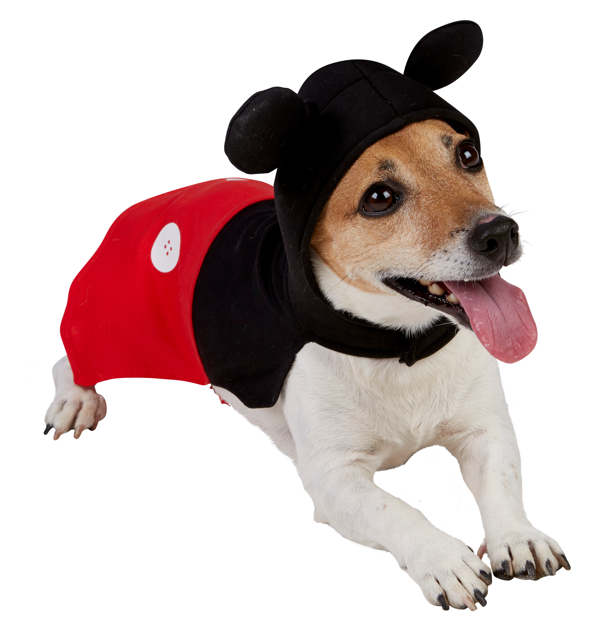 Mickey Mouse Dog Costume.png