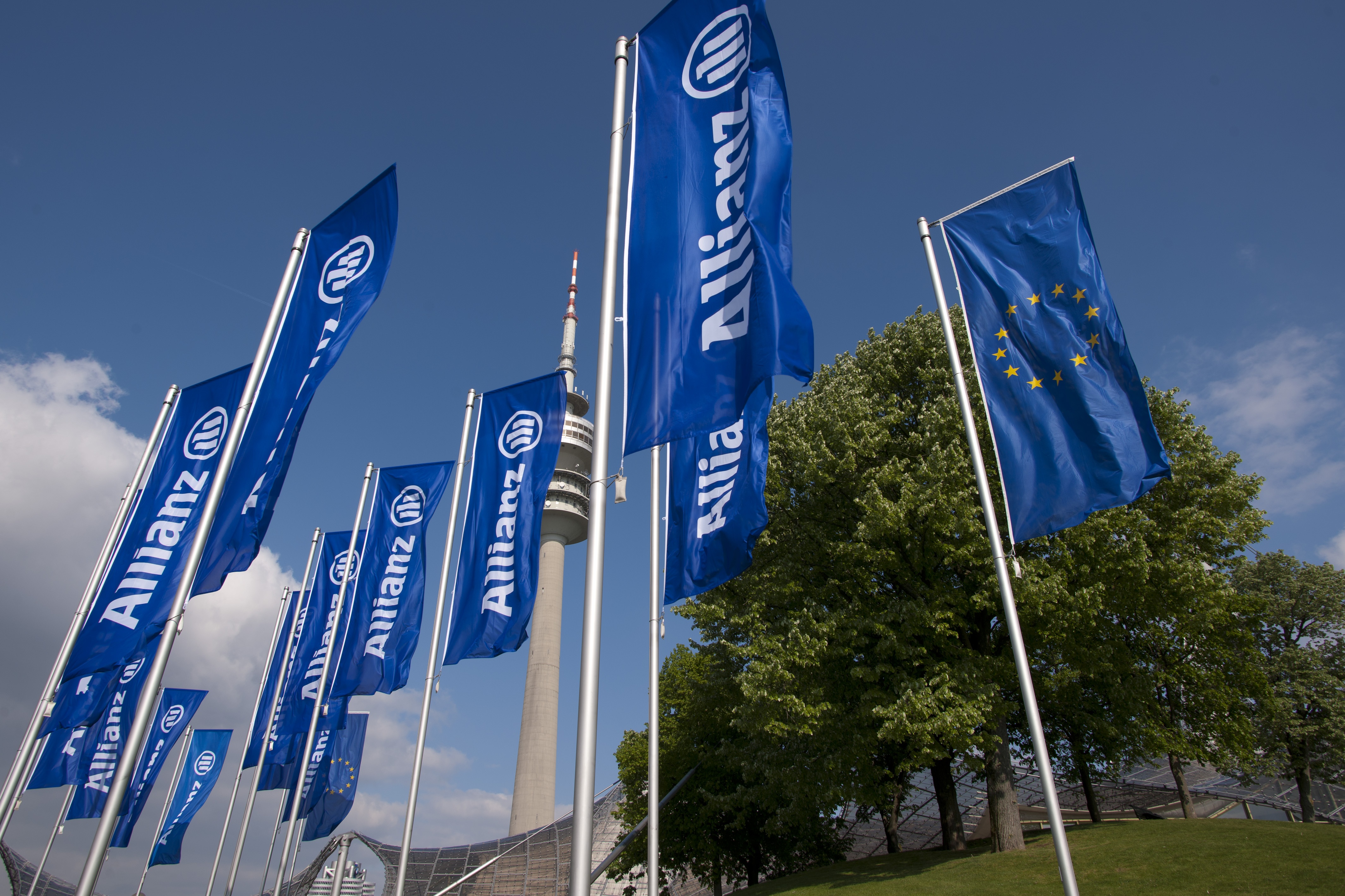 allianz_flagge1.jpg
