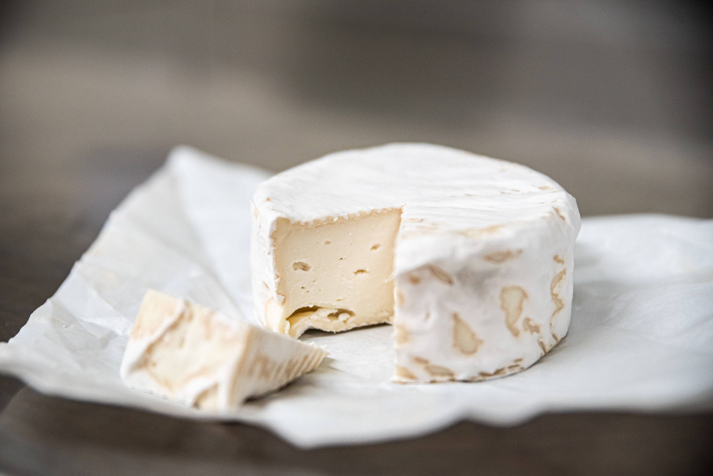 [photo] Le "camen'chèvre", une spécialité de la SCEA du HAUT DE LA VIGNE