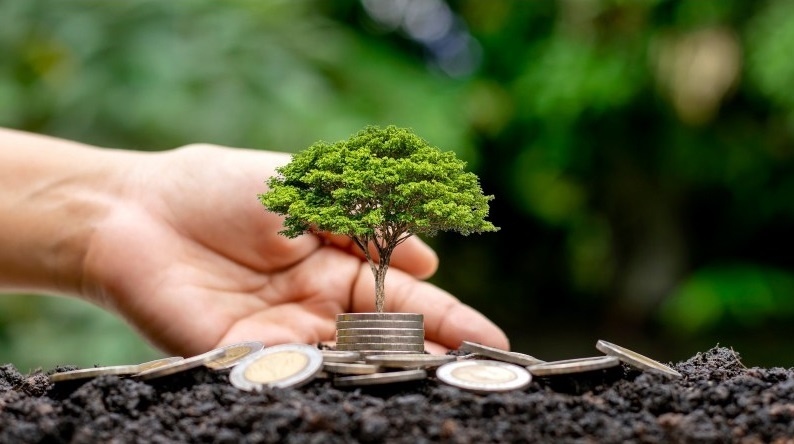 fondos sostenibilidad.jpg