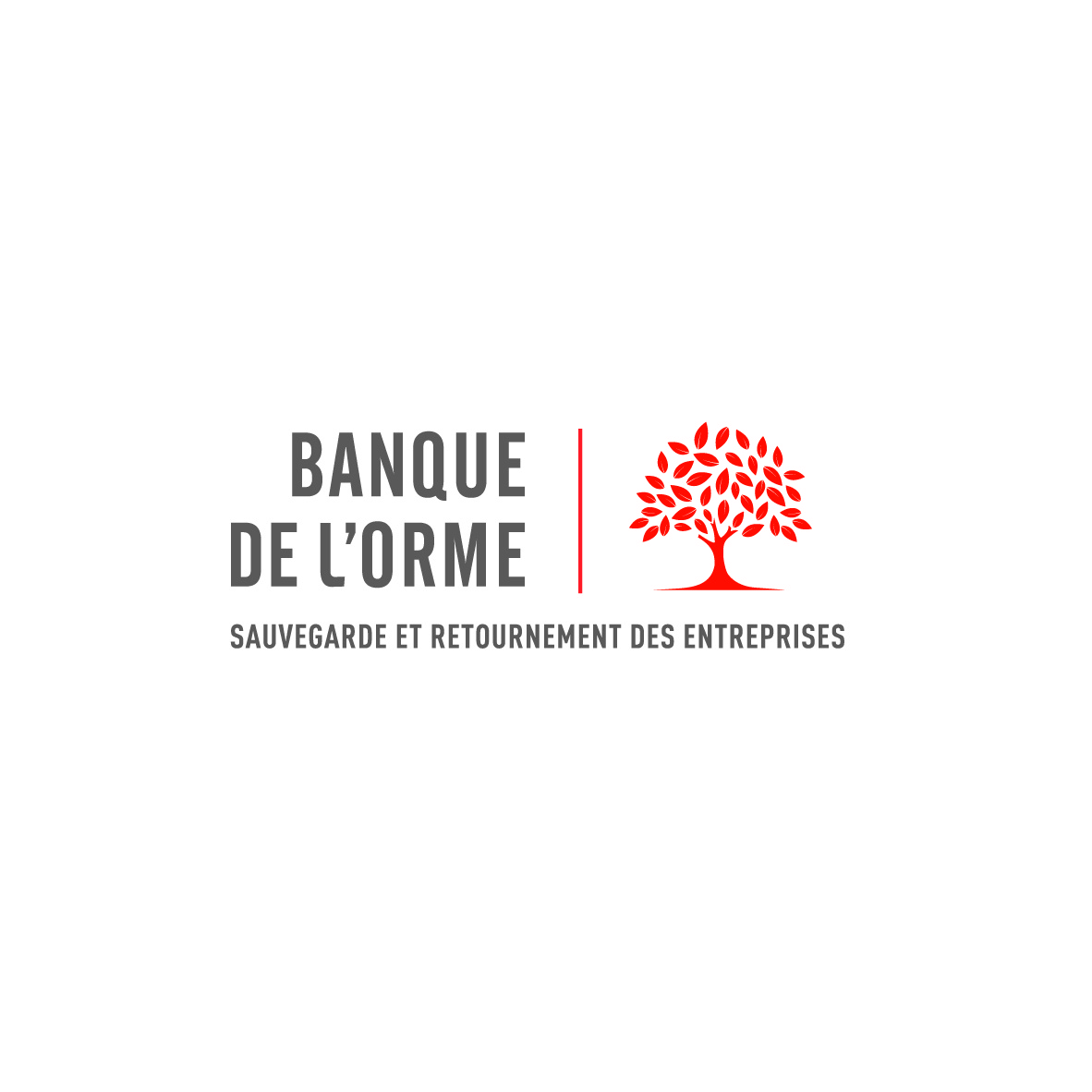 Logo_BanqueDeLorme_CEGEE.jpg