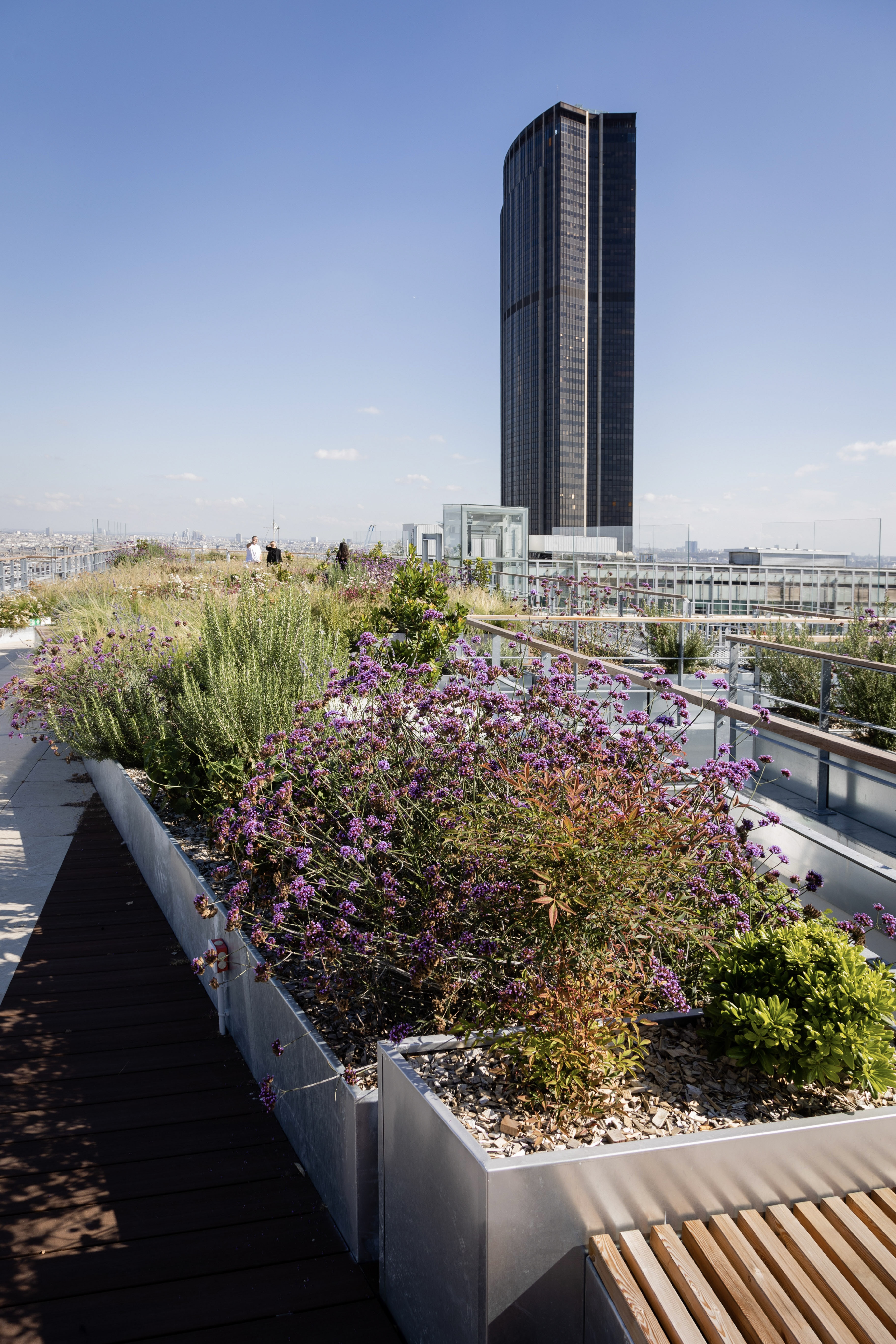 Photo siège MGEN rooftop.jpg