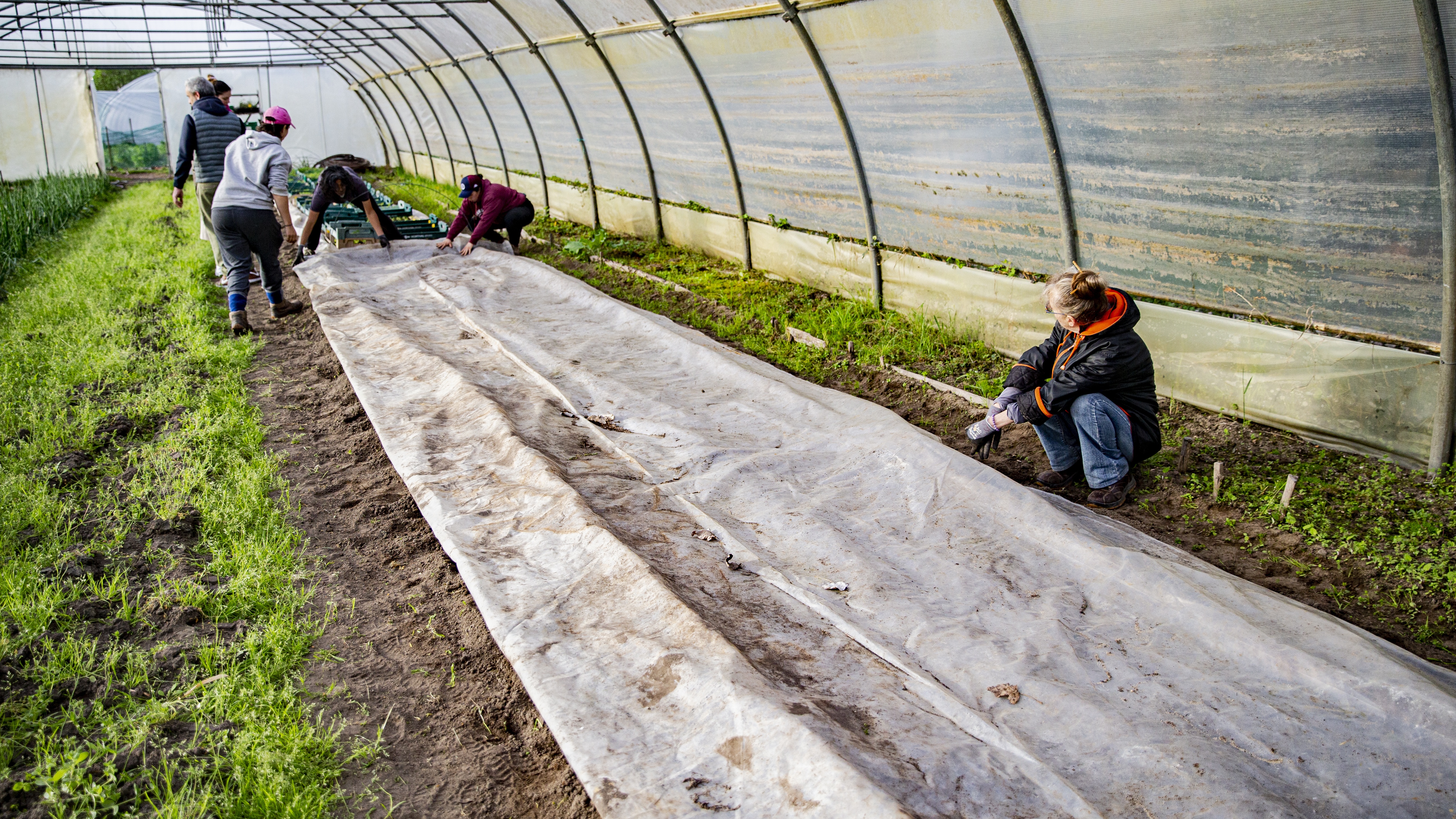 Restos du Cœur - Jardins de Blanquefort - ©Restos du Cœur 2023