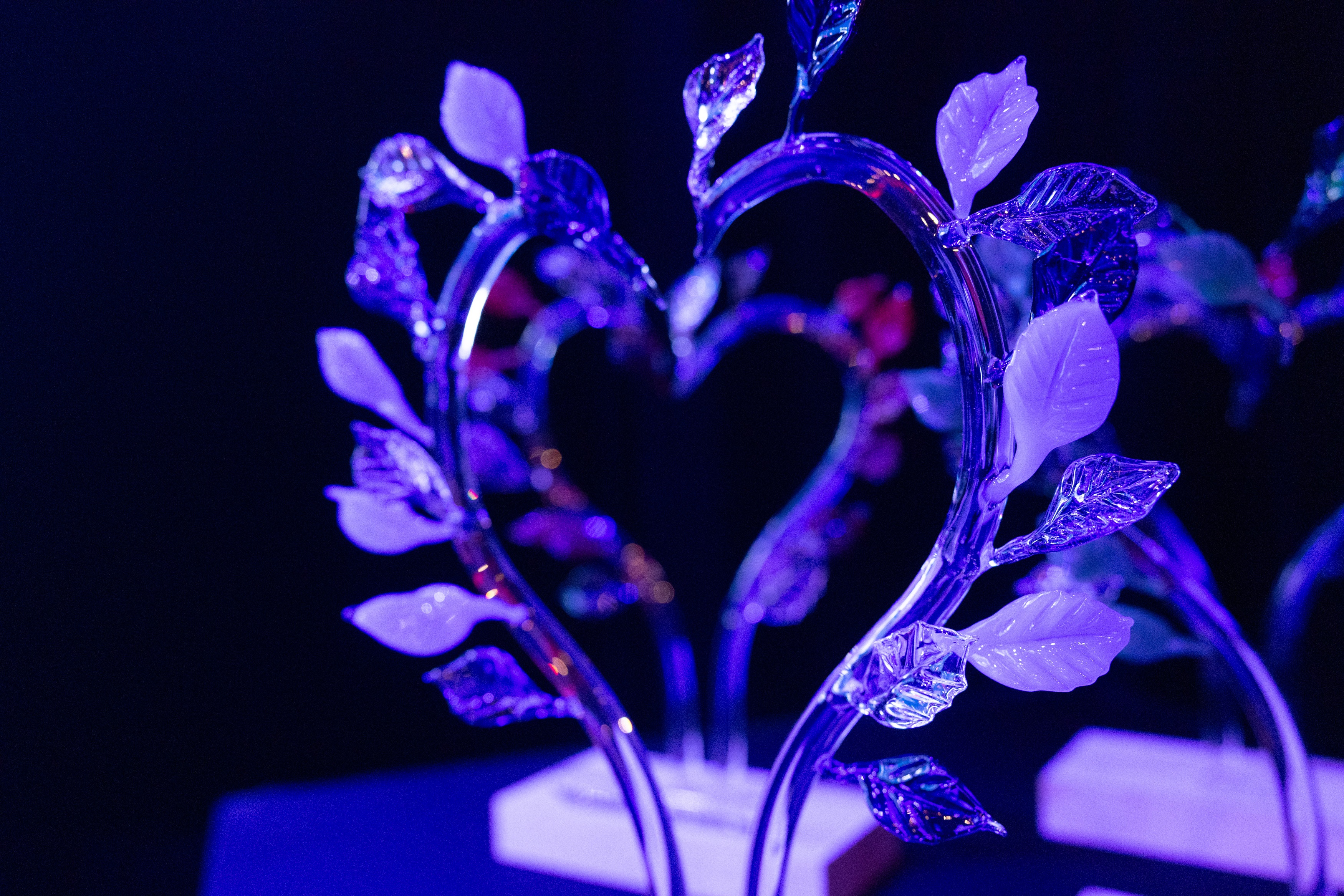 Sausheim - Trophées des Prix de l'Engagement Associatif 2025