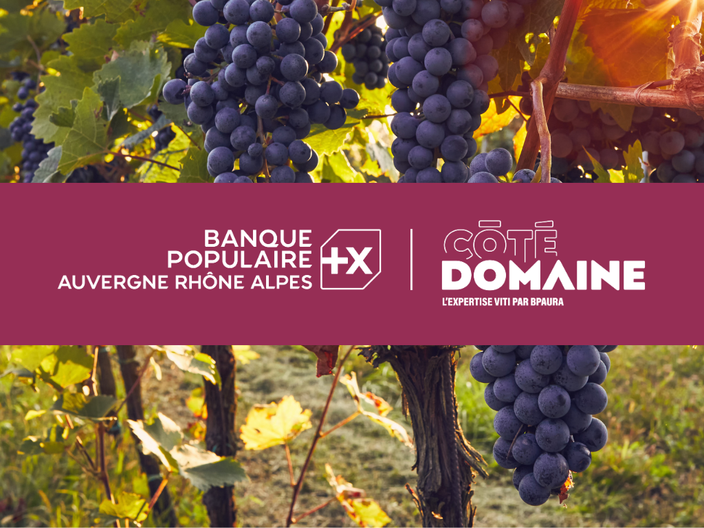 Côté Domaine, l'expertise viti par BPAURA