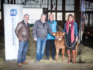 Parrainage du premier veau STABILISER en France