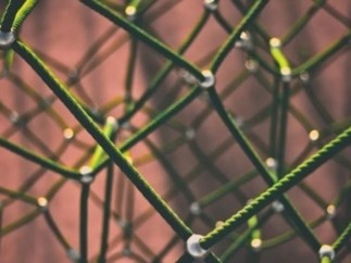 Wiztrust: a solution to fight against financial fake news