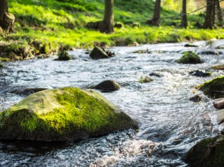 La Caisse d’Epargne et la BEI ont signé un accord pour une ligne de crédit de 150 M€ dans le domaine de l’eau et de l’assainissement, enjeu majeur des territoires en matière de responsabilité environnementale