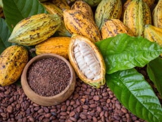 US$1,300 MILLION PRE-EXPORT RECEIVABLES BACKED TRADE FINANCE FACILITY