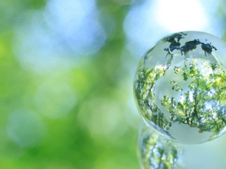 Natixis Corporate & Investment Banking and Natixis Wealth Management launch a green debt instrument and support the Institut Pasteur’s Explore program