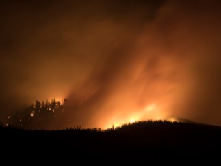 Allianz activa un protocolo para atender a los afectados por los incendios que asolan el territorio
