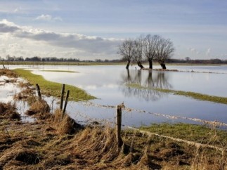 Allianz activa un plan de acción especial ante la DANA que afecta a Andalucía y las intensas lluvias en Murcia y Navarra