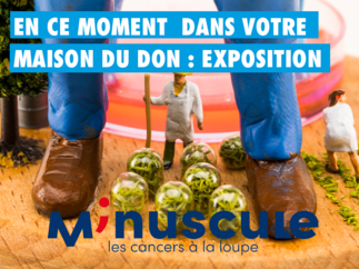 Exposition « Minuscule, les cancers à la loupe » à Bordeaux, venez voir en petit ce que l’on fait en grand !