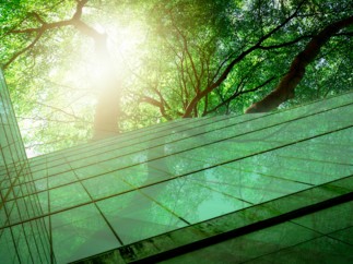 Natixis Corporate & Investment Banking Joins the ESG Integrated Disclosure Project
