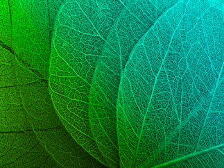 ICAWOOD, a low-carbon real estate development fund, and Natixis successfully conduct the first green equity bridge financing transaction