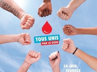 Journée mondiale des donneurs de sang 2024