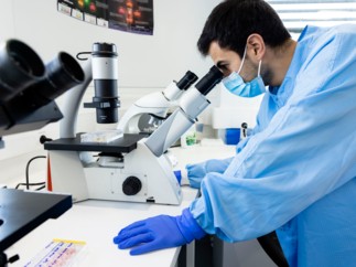 « The Drug Cell » : l’Europe apporte son soutien à la construction d’une filière industrielle souveraine de thérapie cellulaire