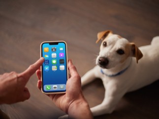 Allianz Mascotas, una solución para las necesidades de las mascotas y la tranquilidad de sus propietarios