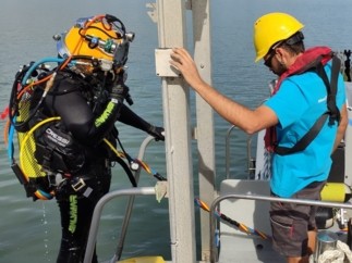 Allianz colabora con Enaleia en la limpieza del fondo marino del puerto de La Rápita