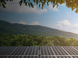 3 octobre 2024 : la Banque Populaire du Sud organise sa 2e édition de la « Journée Emeraude » : clients et collaborateurs, tous engagés sur les transitions environnementales