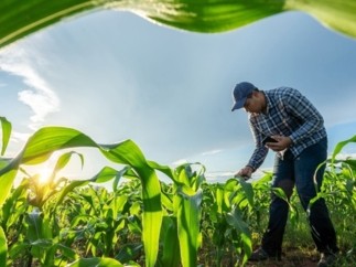 Quatrième édition de l'étude de BPCE L'Observatoire sur l'Agriculture et la Viticulture