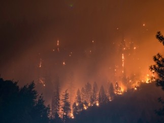 Allianz intensifica su protocolo especial ante los incendios que están asolando parte del país