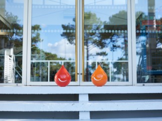 Journée mondiale contre le cancer : donner son sang, c’est participer au soin des patients