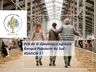 Prix de la Dynamique Agricole Banque Populaire du Sud : #saison 3 !