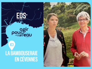 LA BAMBOUSERAIE EN CÉVENNES