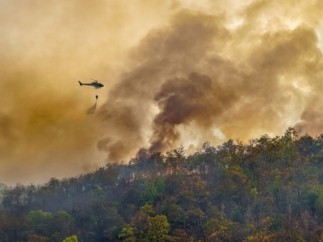 Allianz crea un fondo de recuperación y resiliencia antiincendios para ayudar a recuperar las zonas afectadas