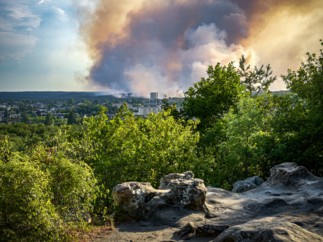 La Caisse d’Epargne au secours de la forêt de Fontainebleau incendiée.