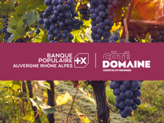 Banque Populaire Auvergne Rhône Alpes lance « Côté Domaine », son expertise dédiée aux viticulteurs
