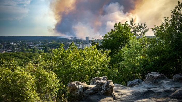 La Caisse d’Epargne au secours de la forêt de Fontainebleau incendiée.
