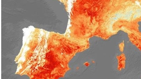 Allianz: el calor dispara los siniestros del hogar en España — plagas, rayos y averías de frigorífico, las incidencias que más crecen