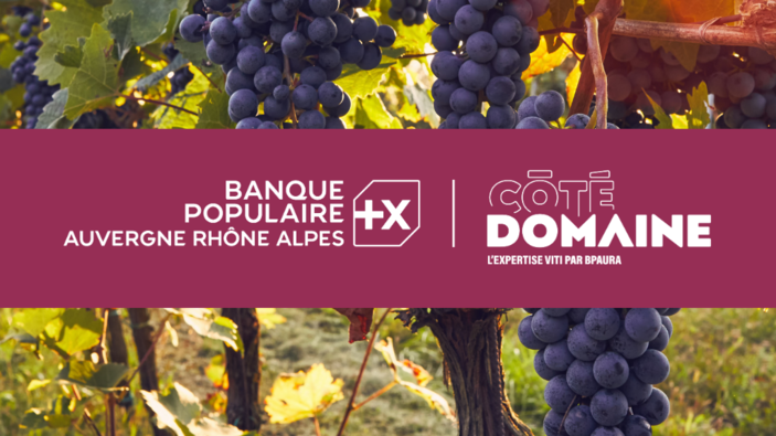 Banque Populaire Auvergne Rhône Alpes lance « Côté Domaine », son expertise dédiée aux viticulteurs