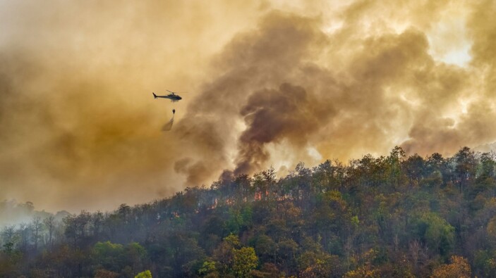 Allianz supera los 1,2 millones de avisos preventivos a clientes ante los incendios forestales de este verano