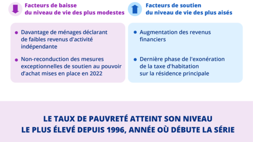 Insee - Infographie - Niveau de Vie et Pauvreté - 2023 - Newsroom Les ...