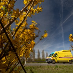 From winter operations to spring–summer traffic seasons